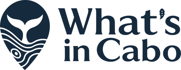 What's in Cabo
