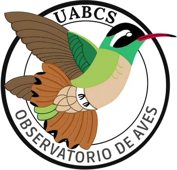 Observatorio de Aves UABCS