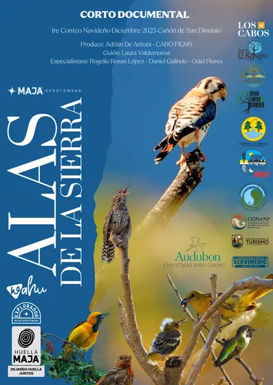Póster de Alas de la Sierra