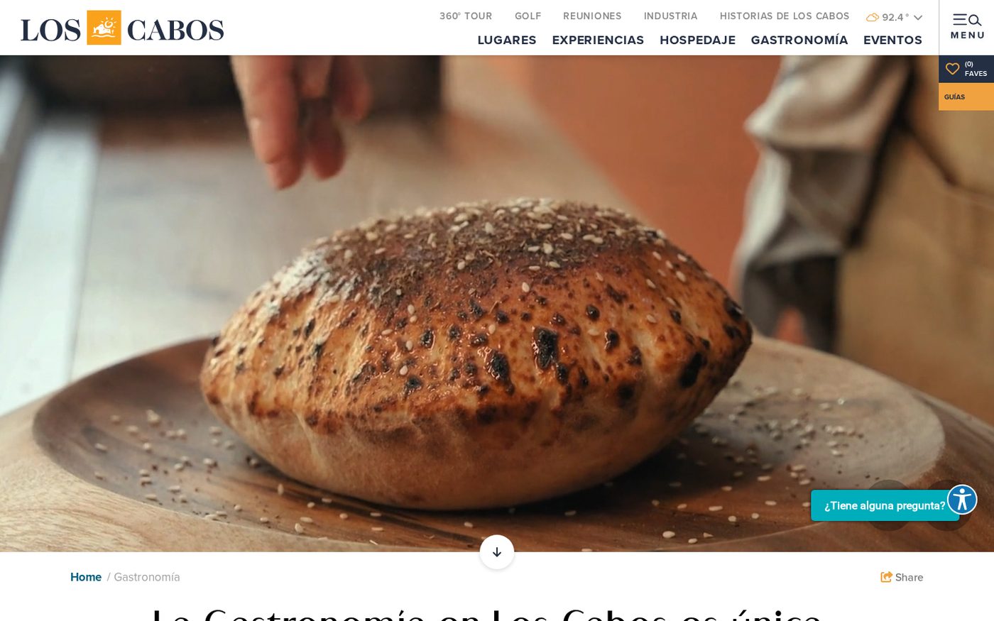 Portada de Visit Los Cabos restaurantes con vídeo de pan a pantalla completa