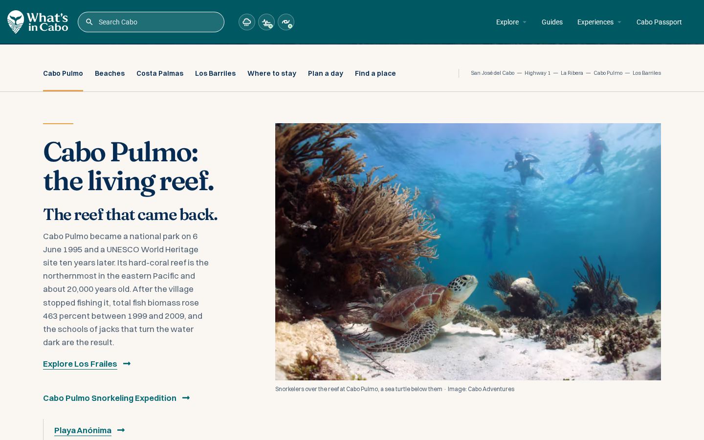 Cabo Pulmo