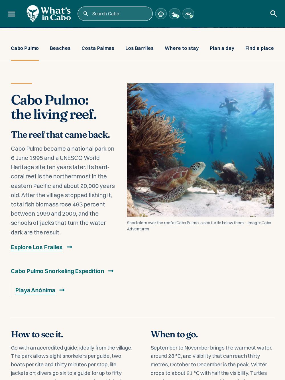 Cabo Pulmo tablet