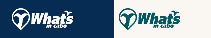 Logos anteriores