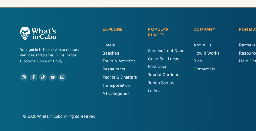 Footer con el logo nuevo
