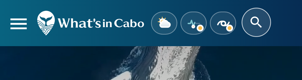Extendida en móvil