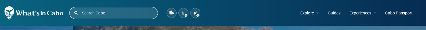 Opción C