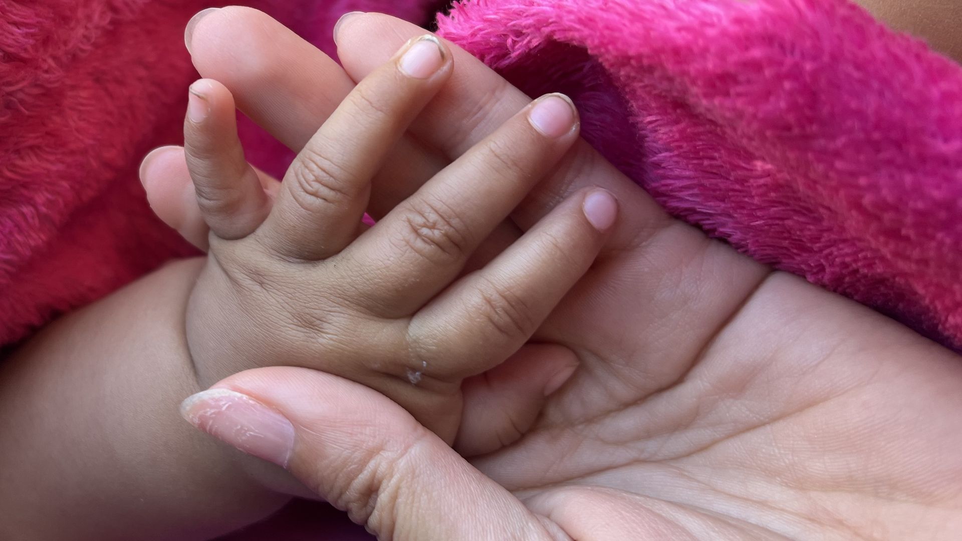 A baby's hand resting in an adult's palm