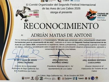 Certificate of recognition from the 2nd Los Cabos International Bird Festival, Oct 8, 2026