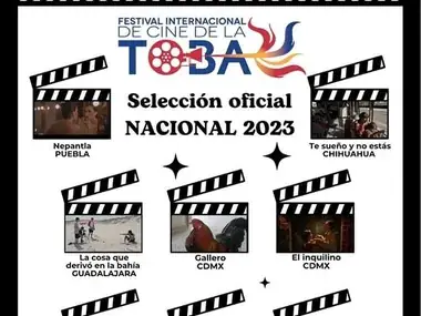 Poster of the national official selection 2023 of the La Toba International Film Festival