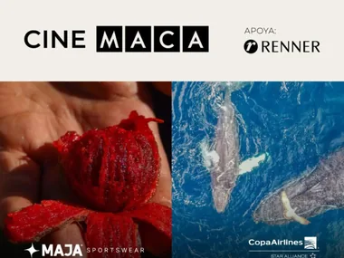 Poster of the short-film screening at Cine MACA, Mar 7, 2026