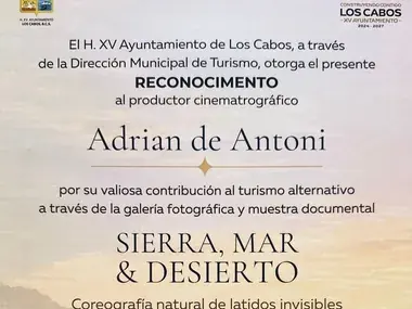 Certificate of recognition from the Los Cabos tourism office for the exhibition “Sierra, Mar & Desierto”
