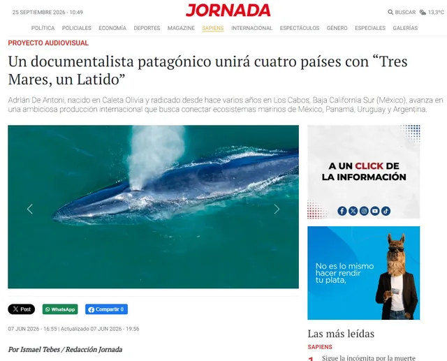 Screenshot of the Diario Jornada article: A Patagonian documentary filmmaker will connect four countries with “Tres Mares, un Latido”