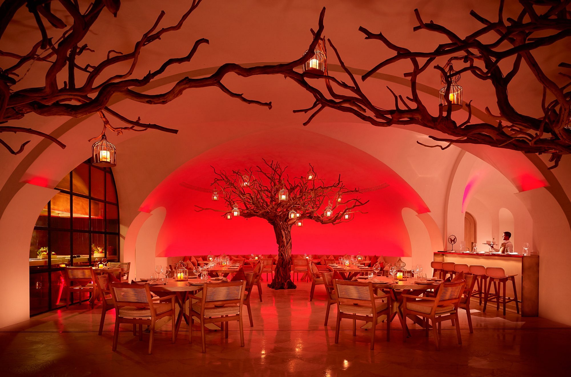 Árbol restaurant cover