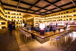 Toro Latin Kitchen & Bar restaurant - photo 6