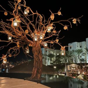 Árbol restaurant - photo 3