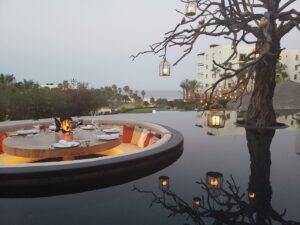 Árbol restaurant - photo 2