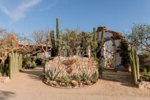 El Huerto Farm to Table restaurant - photo 2