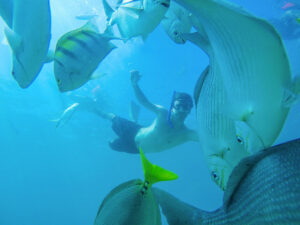 Cabo Adventures restaurant - photo 3