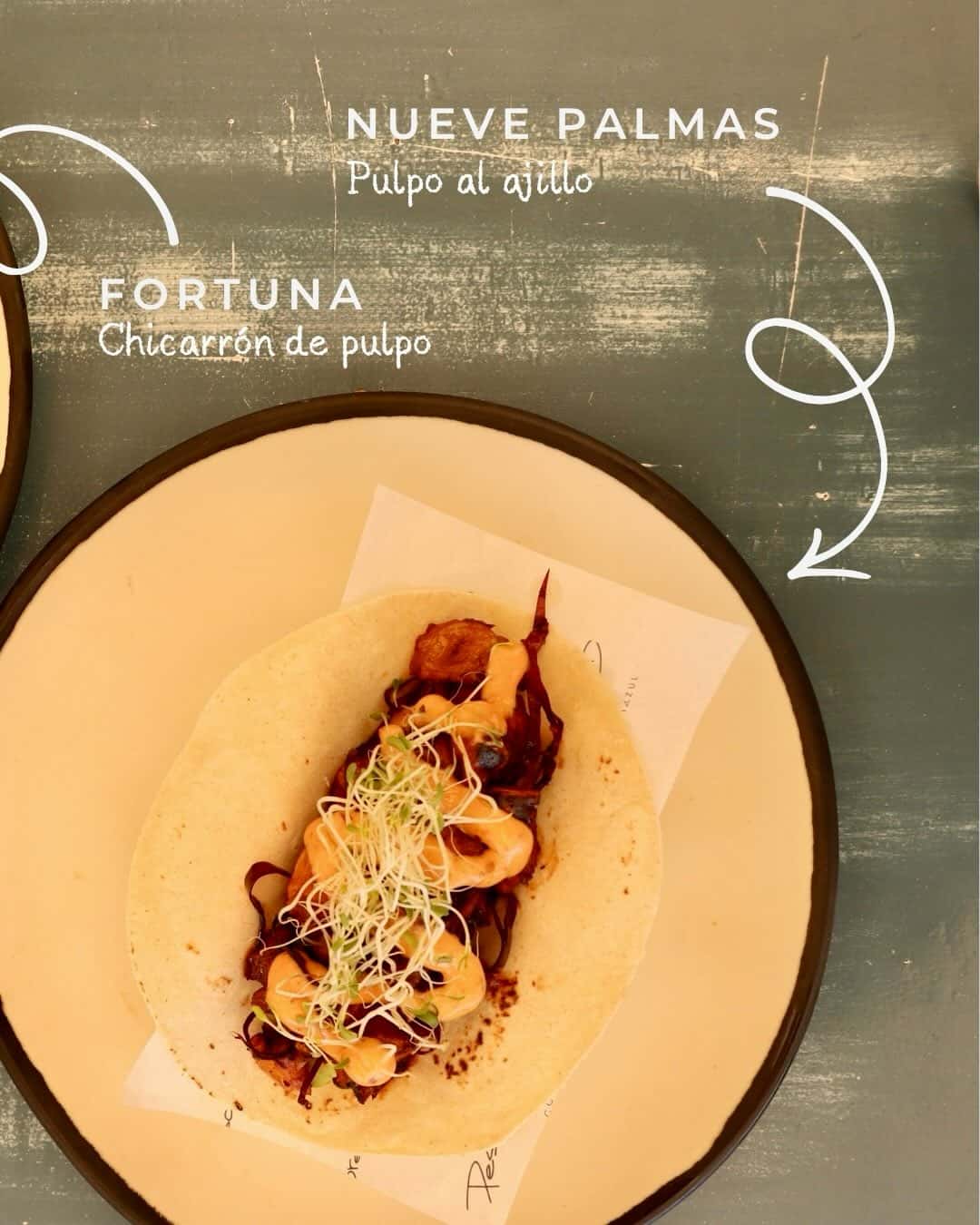 Nueve palmas, pulpo al ajillo