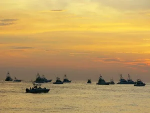 Bisbee's East Cape Offshore official tournament gallery image 8