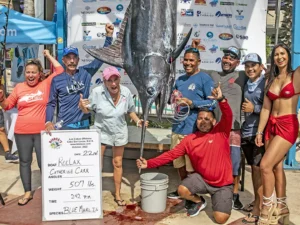 Bisbee's Los Cabos Offshore official gallery image 2