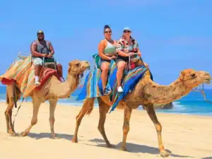 Family group riding camels on Migriño Beach with Cactus Tours