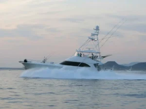 Bisbee's East Cape Offshore official tournament gallery image 6