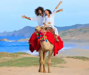Two guests riding a camel with Baja coastline views at Cactus Tours