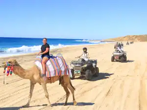 Camel ride alongside ATVs on Migriño Beach, Cactus Tours combo