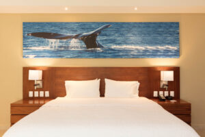Hampton Inn & Suites By Hilton Los Cabos - Studio one king bed