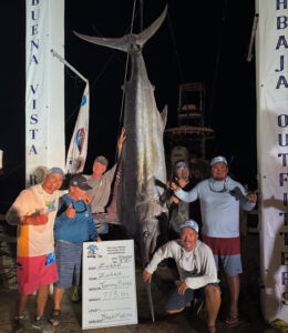 Costa Palmas marina activity during the 2025 Bisbee's East Cape Offshore tournament