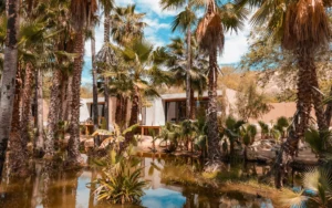 Amet Nature Retreat - Amet Baja official website