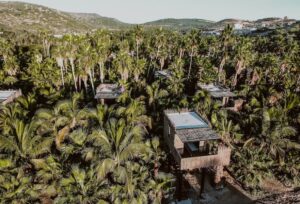 Acre Tree Houses - aerial treehouse view