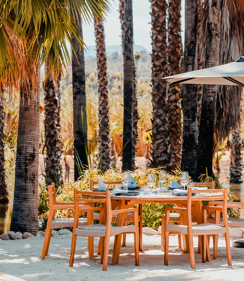 Restaurants & Bars