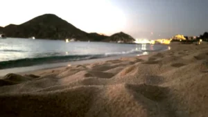 Cabo San Lucas marina setting for Bisbee's Los Cabos Offshore