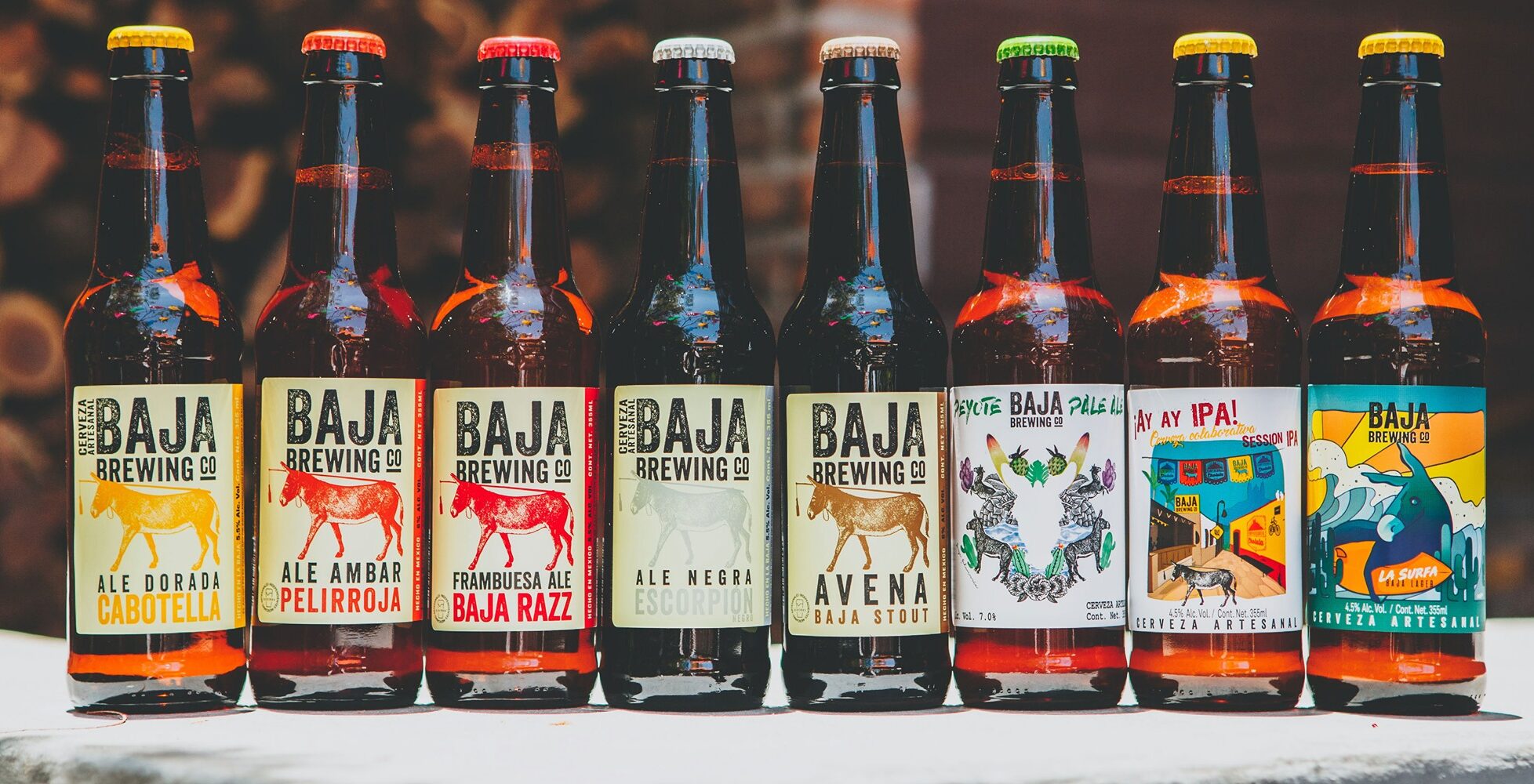 Baja Brewing Company (Cabo Villas Rooftop) — cover photo