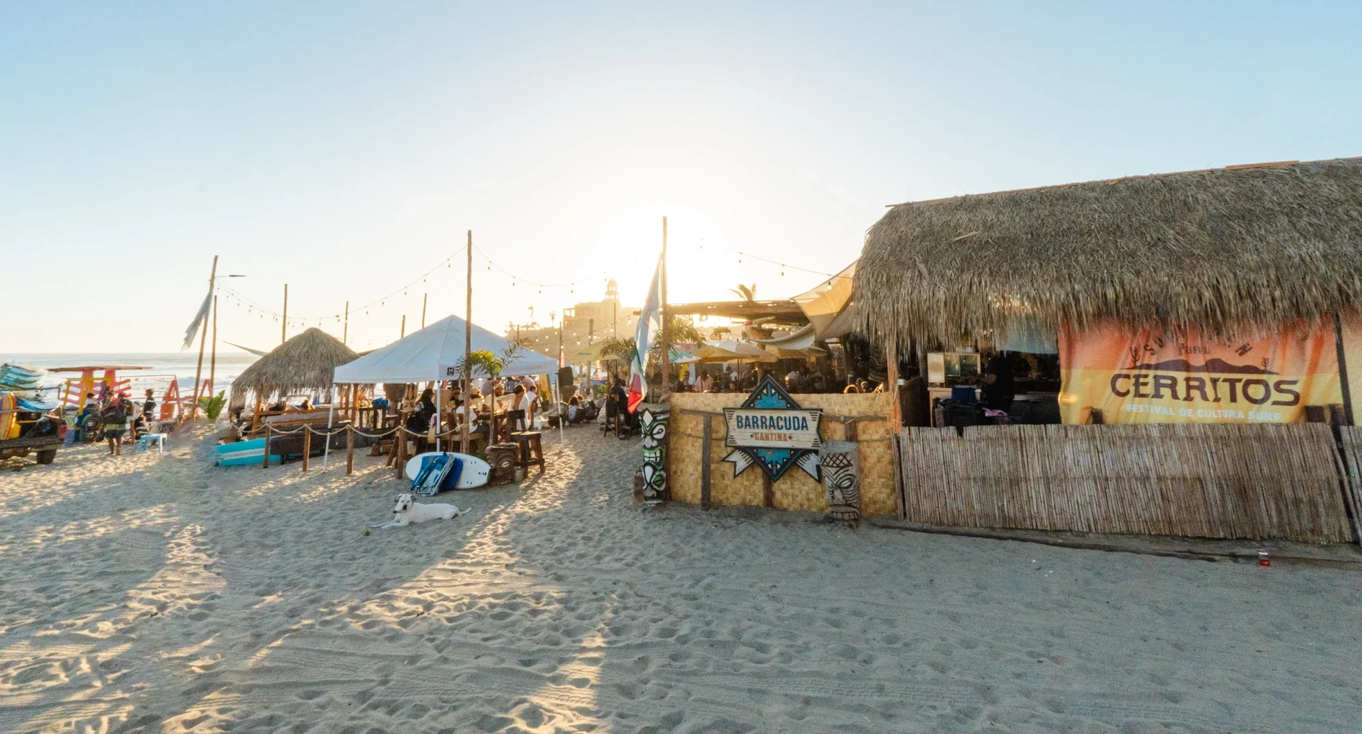 Barracuda Cantina — cover photo