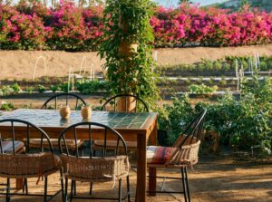 benno-hotel-san-cristobal restaurant