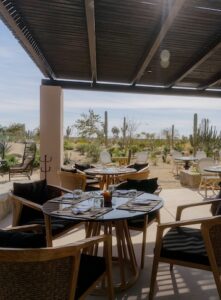 Covered terrace dining at Botánica overlooking the desert cactus garden