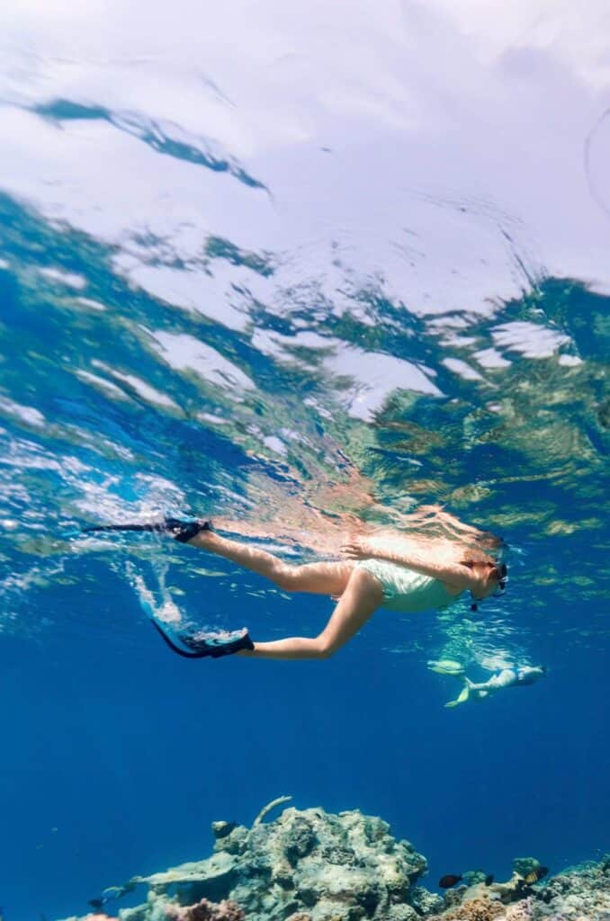 A snorkeler beneath the surface on a Cabo sailing outing