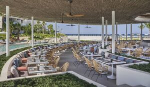 Daytime view of the Casa de Brasa terrace dining room under its curved palapa roof, with rattan chairs, banquettes, the pool and the Sea of Cortez beyond