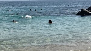 Snorkelers in clear shallow water at Chileno Bay Public Beach