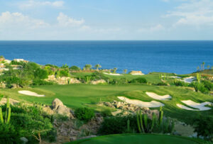 Cove Club golf course hole 17