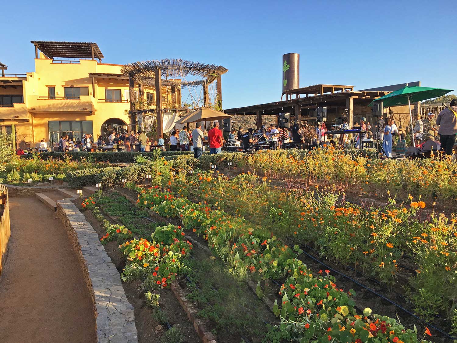 Jazamango — cover photo