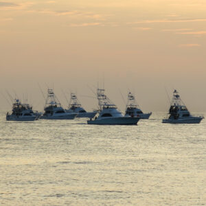 Bisbee's East Cape Offshore official marlin action cover