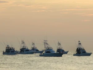 Bisbee's East Cape Offshore official tournament gallery image 1