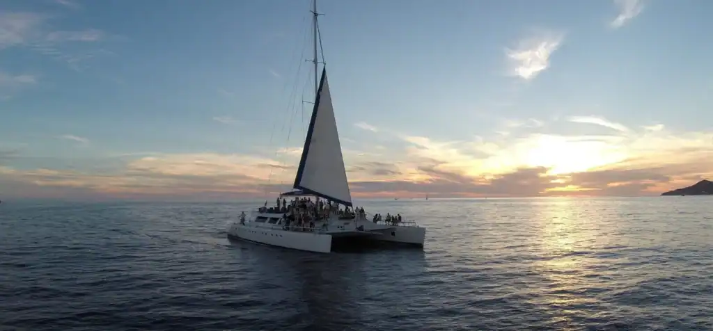 EcoCat catamaran under sail at sunset in Cabo San Lucas bay