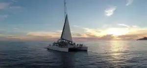 EcoCat catamaran under sail at sunset in Cabo San Lucas bay