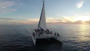 EcoCat catamaran with guests on deck during a Cabo sunset sail