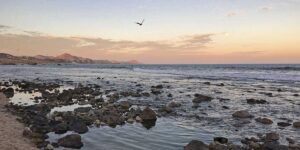 El Tule Beach gallery 1